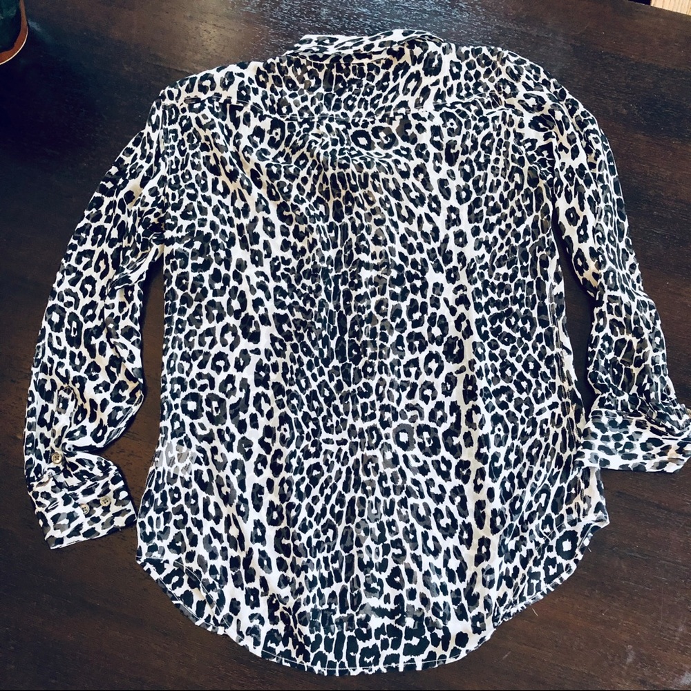 Pre-Order Carmen Sheer Cheetah Dress by BLAKELEY main image 1